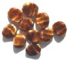 10 16mm Caramel Tortoise Wavy Disks
